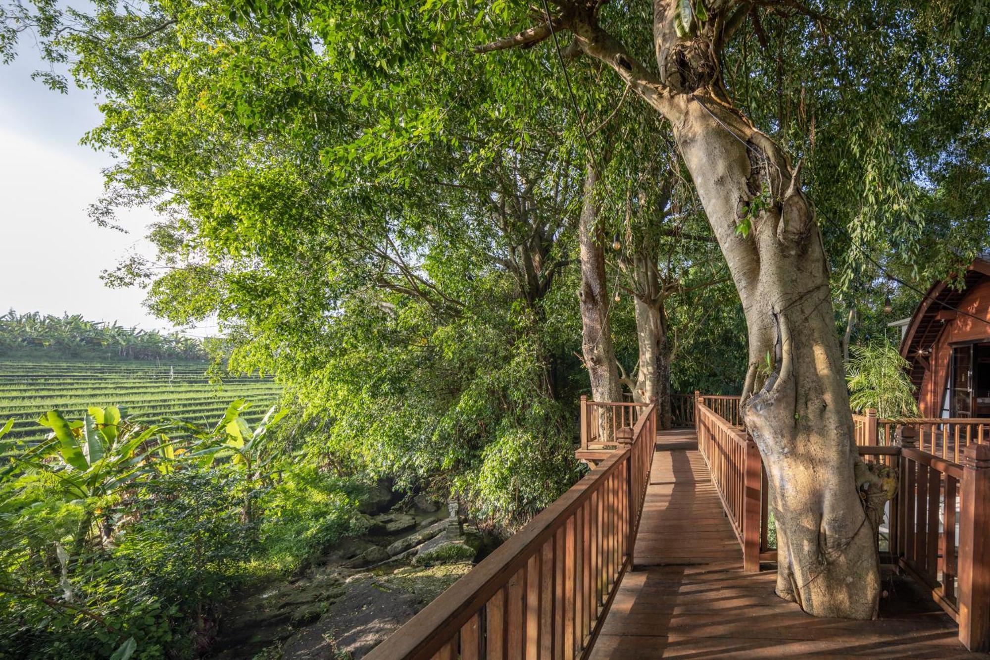 Paripadi Private Villa And Sanctuary チャングー エクステリア 写真